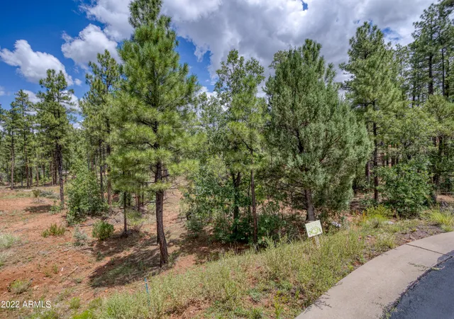 4th image of 2080 S High Sierra Ct #86A, Show Low, AZ 85901 | MLS# 6829279