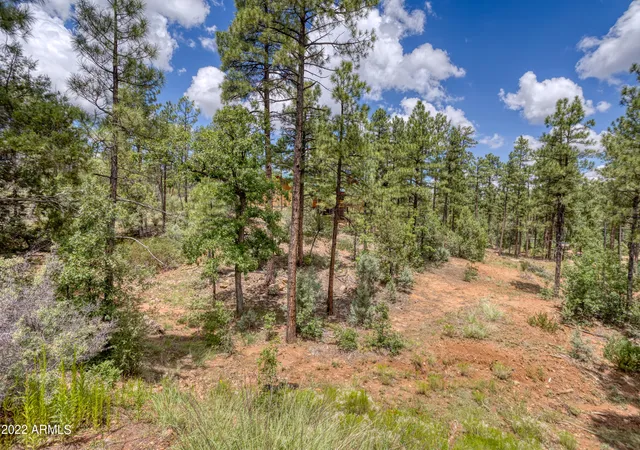 5th image of 2080 S High Sierra Ct #86A, Show Low, AZ 85901 | MLS# 6829279