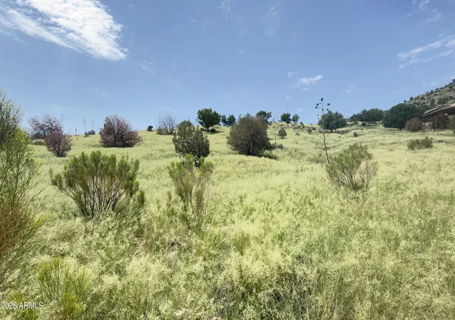 Photo 1 of Land for sale at Lot 009p S One More Road, Hereford, AZ 85615 | MLS# 6836178 | Listing updated on 2026-09-01