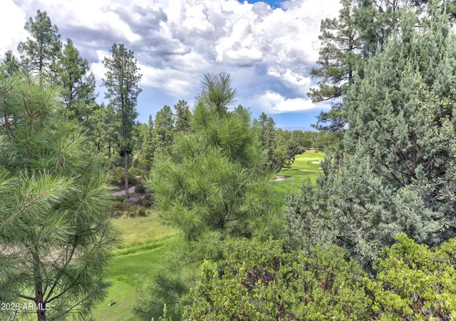 Homes for sale in Payson, AZ | 2502 E Grapevine Dr #347, Payson, AZ 85541 | MLS# 6996623