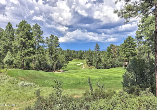 Homes for sale in Payson, AZ | 2502 E Grapevine Dr #347, Payson, AZ 85541 | MLS# 6996623