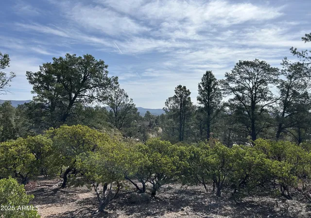 4th image of 1703 E Redbud Ct #878, Payson, AZ 85541 | MLS# 6844110