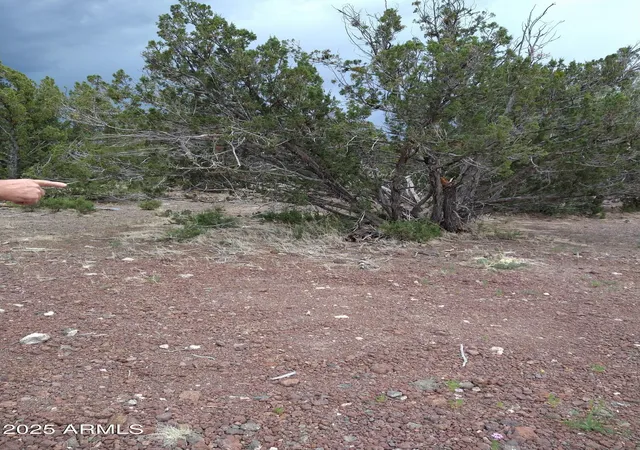 Photo 2 of Land for sale at 1827 Daggs Pl #29, Show Low, AZ 85901 | MLS# 6845471 | Listing updated on 2026-07-10