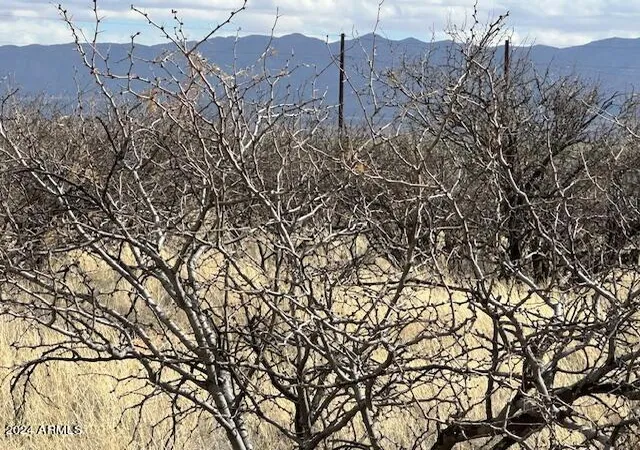 Photo 2 of Land for sale at Tbd S Logans Run #18, Hereford, AZ 85615 | MLS# 6848761 | Listing updated on 2026-10-23