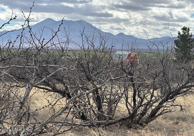 Photo 3 of Land for sale at Tbd S Logans Run #18, Hereford, AZ 85615 | MLS# 6848761 | Listing updated on 2026-10-23