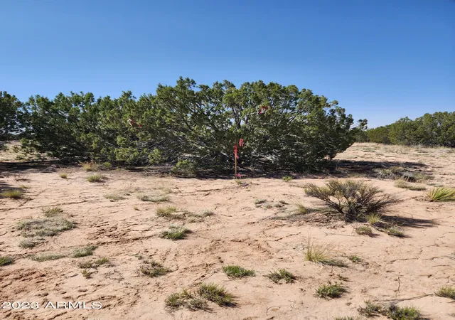 Photo 3 of Land for sale at 000 N Tbd Dr #180-B, St Johns, AZ 85936 | MLS# 6849867 | Listing updated on 2026-04-07