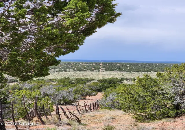 Photo 3 of Land for sale at 000 N Tbd Dr #180-B, St Johns, AZ 85936 | MLS# 6849867 | Listing updated on 2026-04-07