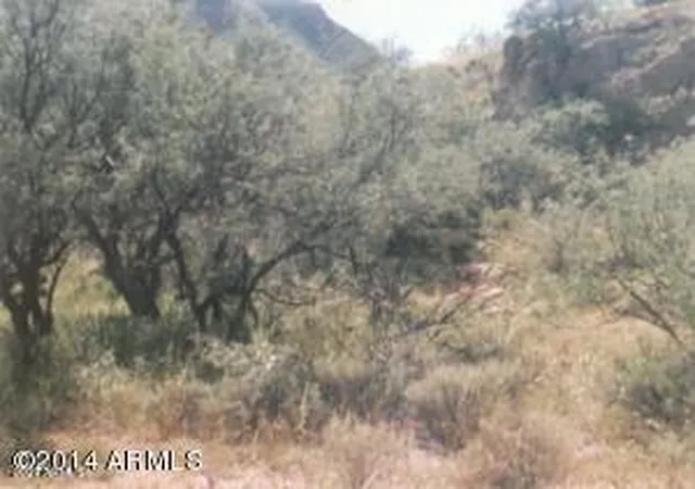 Photo 3 of Land for sale at 155 E Circulo Milpas Rd #155, Rio Rico, AZ 85648 | MLS# 6850483 | Listing updated on 2025-10-01