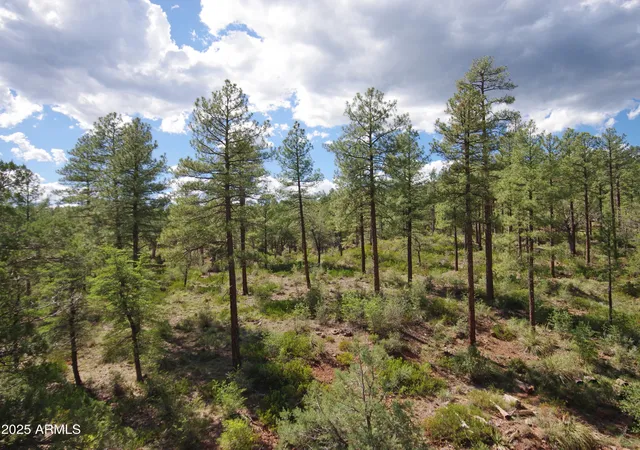 3rd image of 134 E Belluzzi Blvd, Payson, AZ 85541 | MLS# 6862695