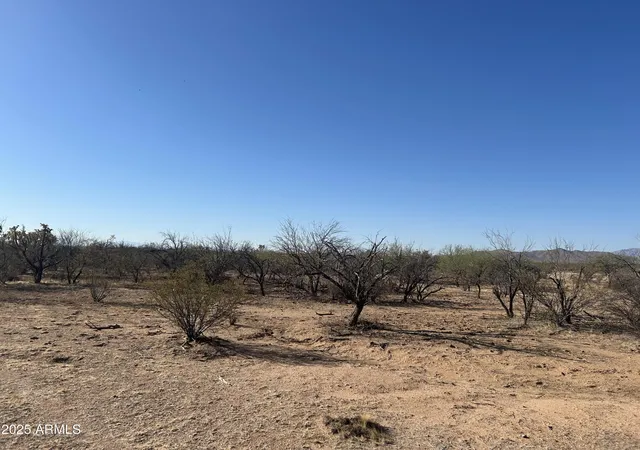 12th image of 20560 E Desert Hills Rd #0, Florence, AZ 85132 | MLS# 6865288