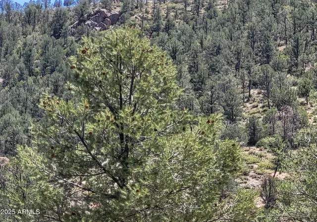 5th image of 1201 E Phoenix St #13, Payson, AZ 85541 | MLS# 6863562