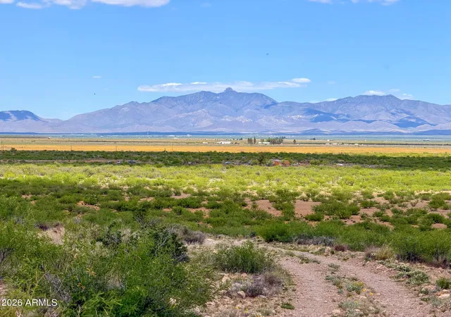 Homes for sale in Willcox, AZ | Tbd S Solar Run 39 Acres --, Willcox, AZ 85643 | MLS# 6864811