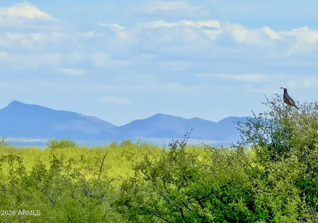 Homes for sale in Willcox, AZ | Tbd S Solar Run 39 Acres --, Willcox, AZ 85643 | MLS# 6864811