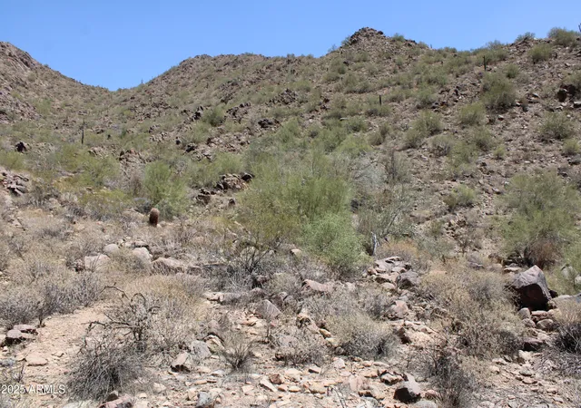 4th image of 13990 E Coyote Rd #11, Scottsdale, AZ 85259 | MLS# 6866043