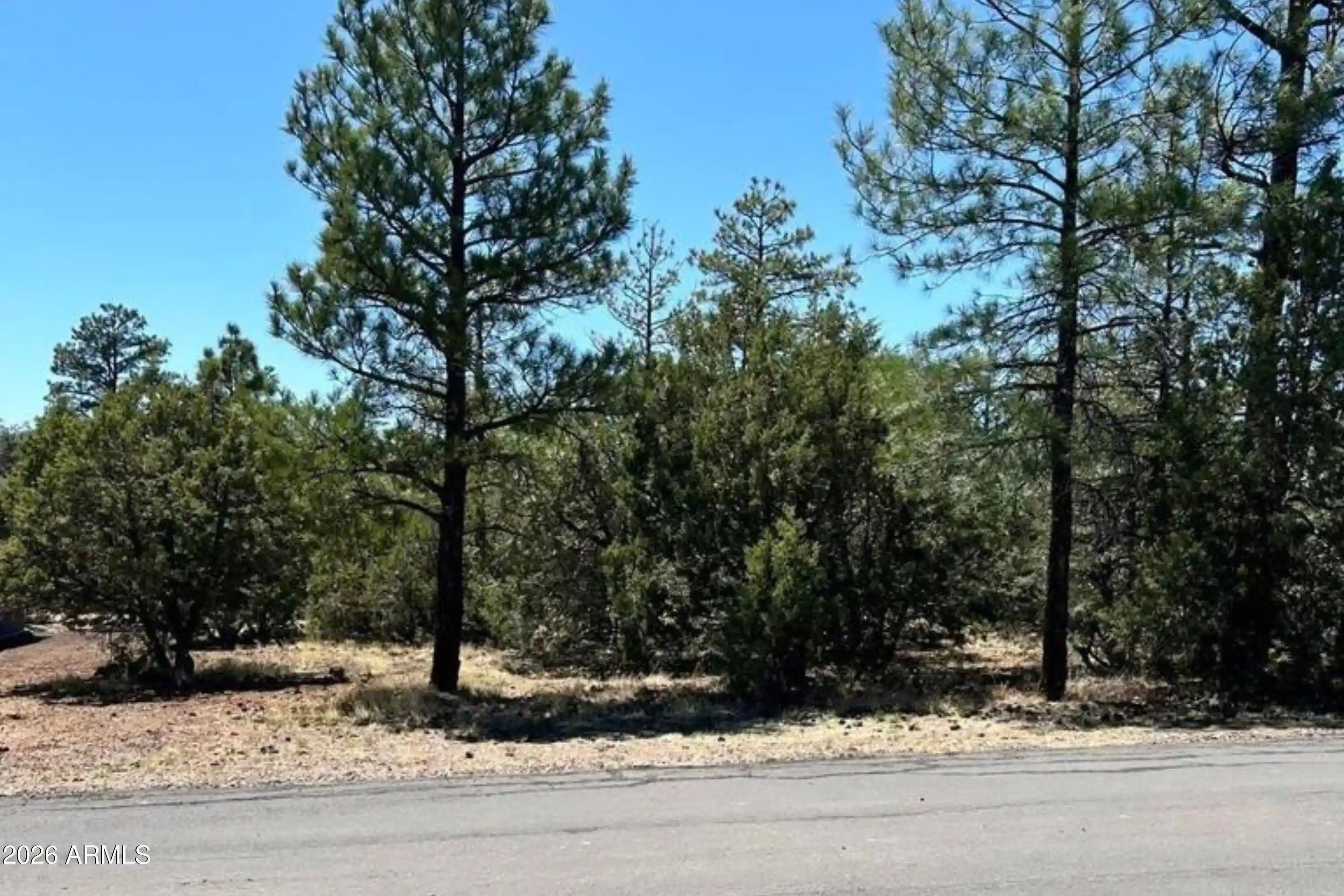 Photo 1 of Land for sale at 5454 Gray Wolf Dr #53, Lakeside, AZ 85929 | MLS# 6866623 | Listing updated on 2026-10-01
