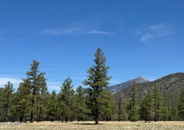 4th image of Lot 4 N Quintana Dr #4, Flagstaff, AZ 86001 | MLS# 6870113