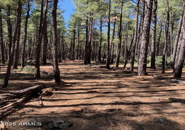 Photo 1 of Land for sale at Tbd Dynamite Rd, Lakeside, AZ 85929 | MLS# 6876831 | Listing updated on 2026-06-23