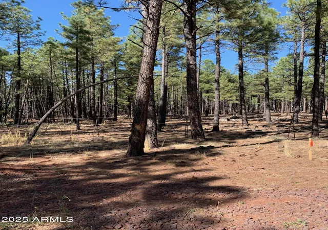 Photo 3 of Land for sale at Tbd Dynamite Rd, Lakeside, AZ 85929 | MLS# 6876831 | Listing updated on 2026-06-23