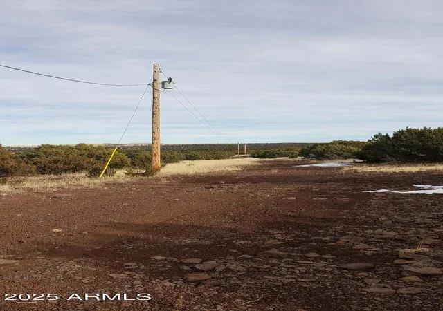 Homes for sale in Concho, AZ | 43 N County Road N3209 Road #29, Concho, AZ 85924 | MLS# 6879317