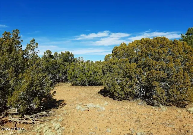 Photo 1 of Land for sale at 4 N Parcels Shady Oak 404 69 005 /10+acres #E, Show Low, AZ 85901 | MLS# 6889542 | Listing updated on 2026-08-16