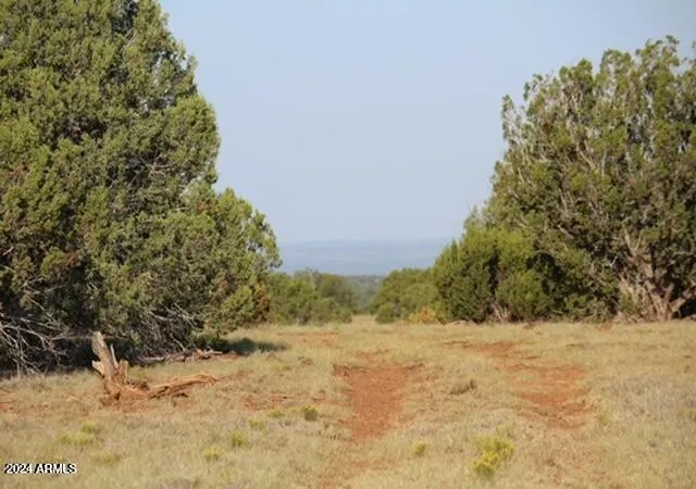 Photo 1 of Land for sale at 4 N Parcels Shady Oak 404 69 005 /10+acres #E, Show Low, AZ 85901 | MLS# 6889542 | Listing updated on 2026-08-16