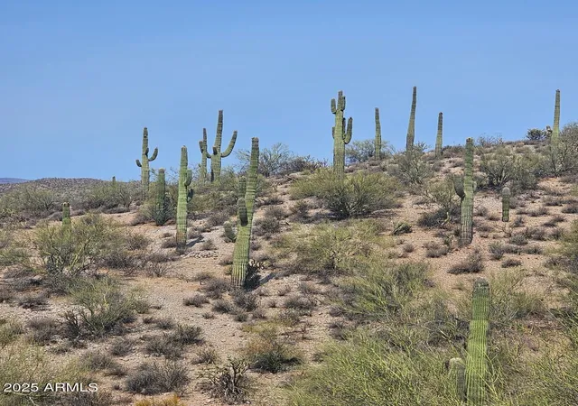 Photo 1 of Land for sale at 5xxxx N 292nd Avenue #0, Wickenburg, AZ 85390 | MLS# 6894704 | Listing updated on 2026-05-03