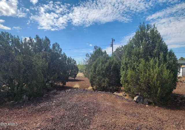 Photo 3 of Land for sale at 1762 Bighorn Pl #48, Show Low, AZ 85901 | MLS# 6894212 | Listing updated on 2026-01-27