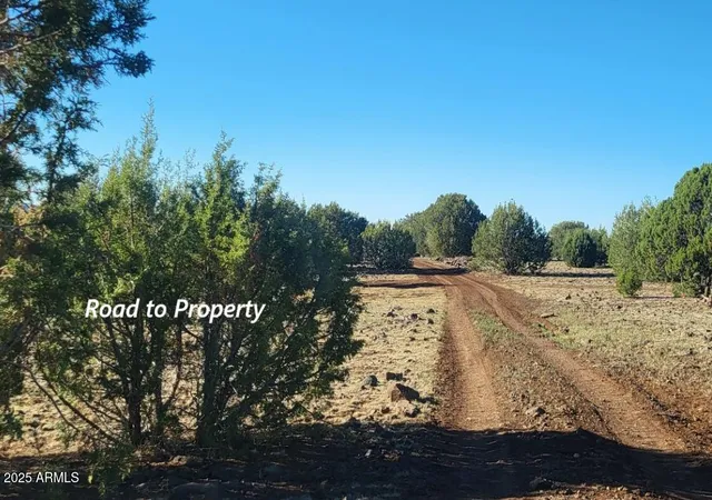 Homes for sale in Williams, AZ | 369 B E Antler Trl, Williams, AZ 86046 | MLS# 6894484