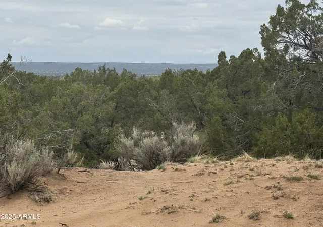 Photo 1 of Sale Pending at Lot 78 Witch Well Ranches #78, Saint Johns, AZ 85936 | MLS# 6897000 | Listing updated on 2026-01-24