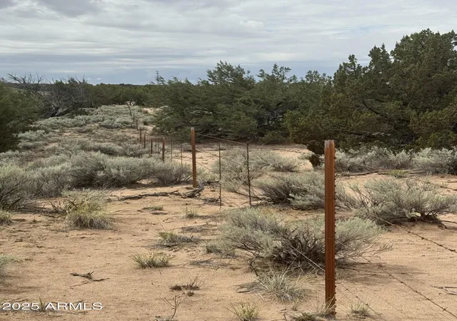 Photo 3 of Sale Pending at Lot 78 Witch Well Ranches #78, Saint Johns, AZ 85936 | MLS# 6897000 | Listing updated on 2026-01-24