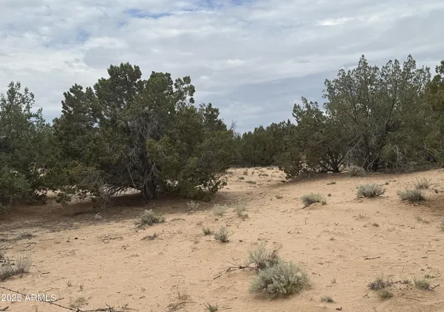 Photo 3 of Sale Pending at Lot 78 Witch Well Ranches #78, Saint Johns, AZ 85936 | MLS# 6897000 | Listing updated on 2026-01-24