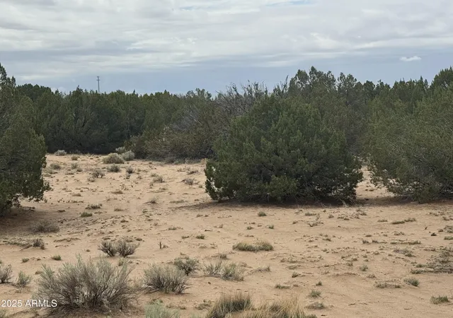 Photo 4 of Sale Pending at Lot 78 Witch Well Ranches #78, Saint Johns, AZ 85936 | MLS# 6897000 | Listing updated on 2026-01-24
