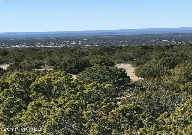 Homes for sale in Concho, AZ | Lot 20 Idlewild Rnch #20, Concho, AZ 85924 | MLS# 6896350