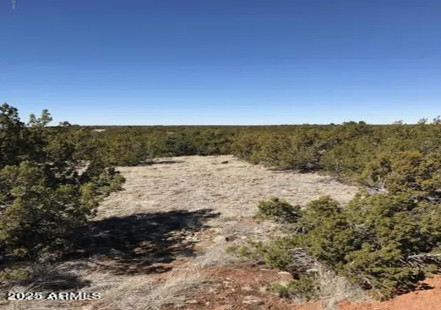 Homes for sale in Concho, AZ | Lot 20 Idlewild Rnch #20, Concho, AZ 85924 | MLS# 6896350
