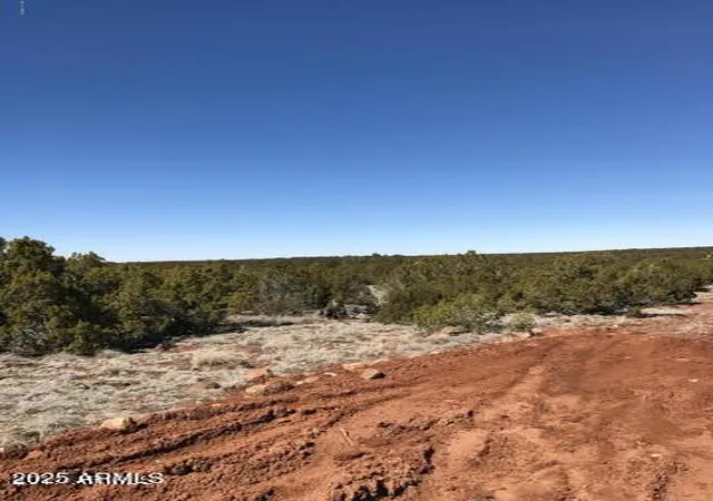 Homes for sale in Concho, AZ | Lot 20 Idlewild Rnch #20, Concho, AZ 85924 | MLS# 6896350