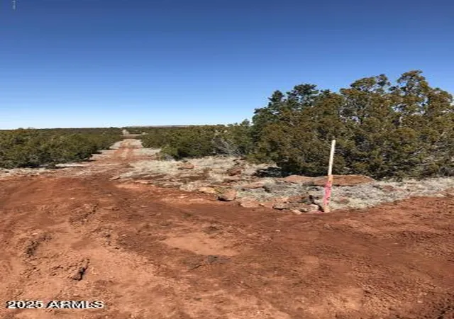 Homes for sale in Concho, AZ | Lot 20 Idlewild Rnch #20, Concho, AZ 85924 | MLS# 6896350
