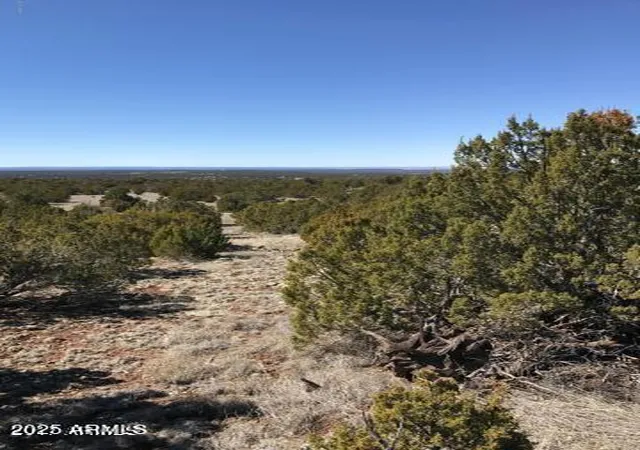 Homes for sale in Concho, AZ | Lot 20 Idlewild Rnch #20, Concho, AZ 85924 | MLS# 6896350