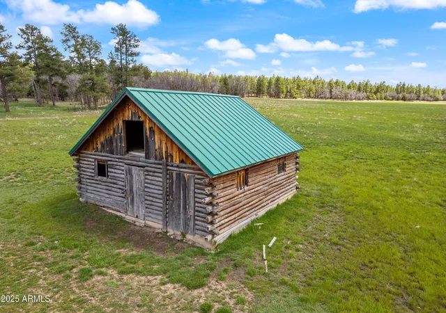 Homes for sale in Lakeside, AZ | 931 W Woodland Lake Rd #13, Lakeside, AZ 85929 | MLS# 6896729