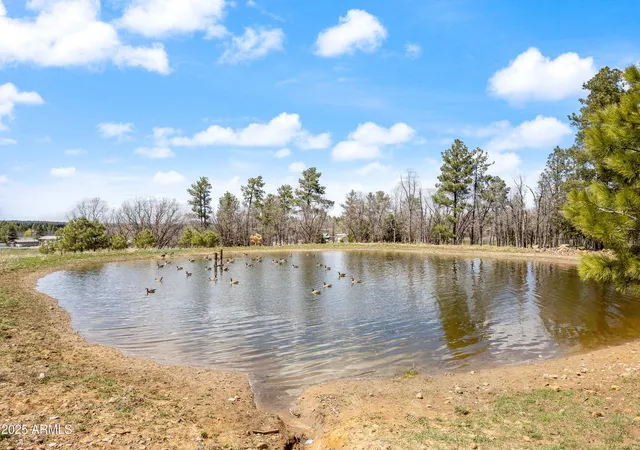 Homes for sale in Lakeside, AZ | 931 W Woodland Lake Rd #13, Lakeside, AZ 85929 | MLS# 6896729