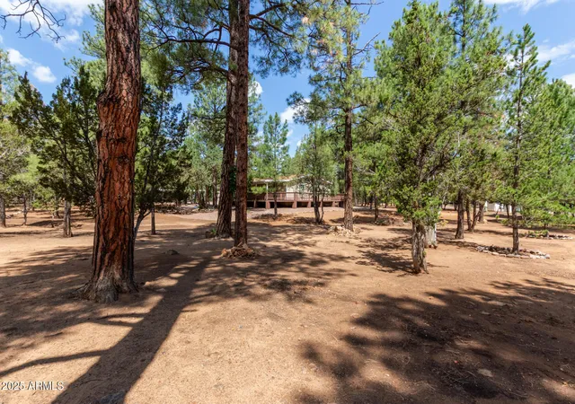 Photo 3 of Sale Pending at 2884 Pine Rim Rd, Overgaard, AZ 85933 | MLS# 6899064 | Listing updated on 2026-09-08