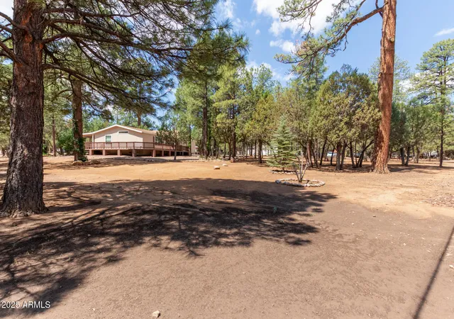 Photo 4 of Sale Pending at 2884 Pine Rim Rd, Overgaard, AZ 85933 | MLS# 6899064 | Listing updated on 2026-09-08
