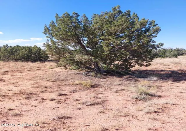 Photo 3 of Land for sale at 5912 Cow Bell Rd #67, Heber, AZ 85928 | MLS# 6898499 | Listing updated on 2026-06-16