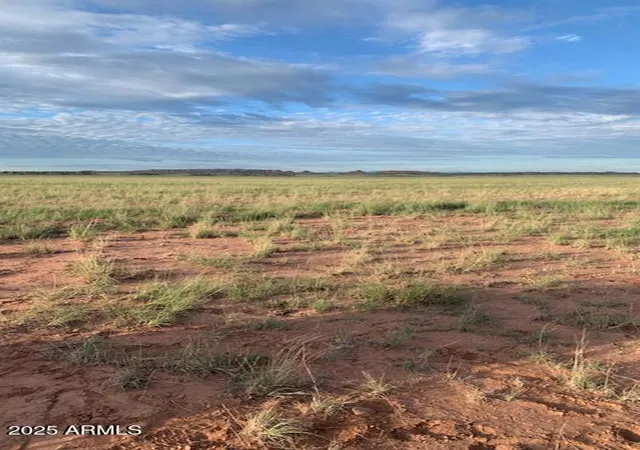 1st image of Tbd 45 Acres #28, St Johns, AZ 85936 | MLS# 6900058