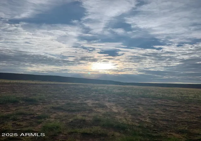 1st image of Tbd 41 Acres #25, St Johns, AZ 85936 | MLS# 6900094