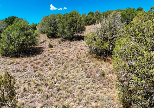 Homes for sale in Chino Valley, AZ | 00 N Hilltop Trl, Lot D2, Chino Valley, AZ 86323 | MLS# 6901815