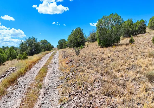 Homes for sale in Chino Valley, AZ | 00 N Hilltop Trl, Lot D2 --, Chino Valley, AZ 86323 | MLS# 6901815
