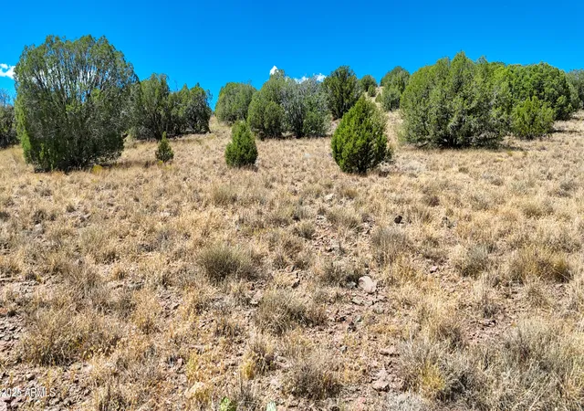 Homes for sale in Chino Valley, AZ | 00 N Hilltop Trl, Lot D2 --, Chino Valley, AZ 86323 | MLS# 6901815