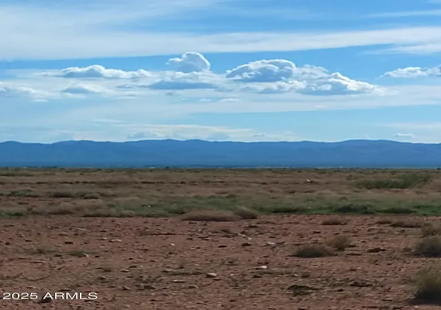 Photo 3 of Land for sale at Tbd N Ee Ranch Lot 2 Of 4 Rd #2 of 4, Mc Neal, AZ 85617 | MLS# 6902521 | Listing updated on 2026-07-31