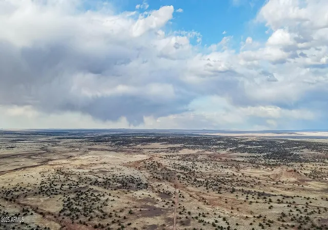 Homes for sale in Concho, AZ | 38 County Rd N5576 --, Concho, AZ 85924 | MLS# 6909378