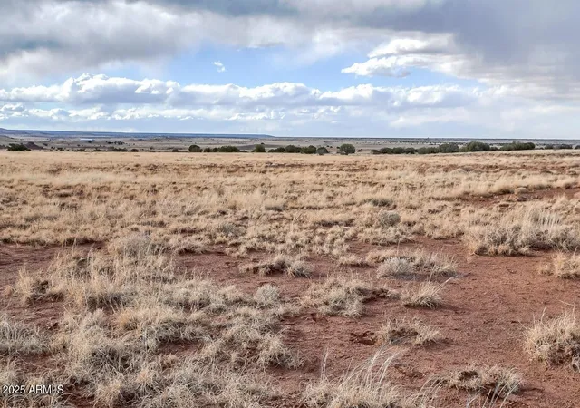 Homes for sale in Concho, AZ | 38 County Rd N5576 --, Concho, AZ 85924 | MLS# 6909378